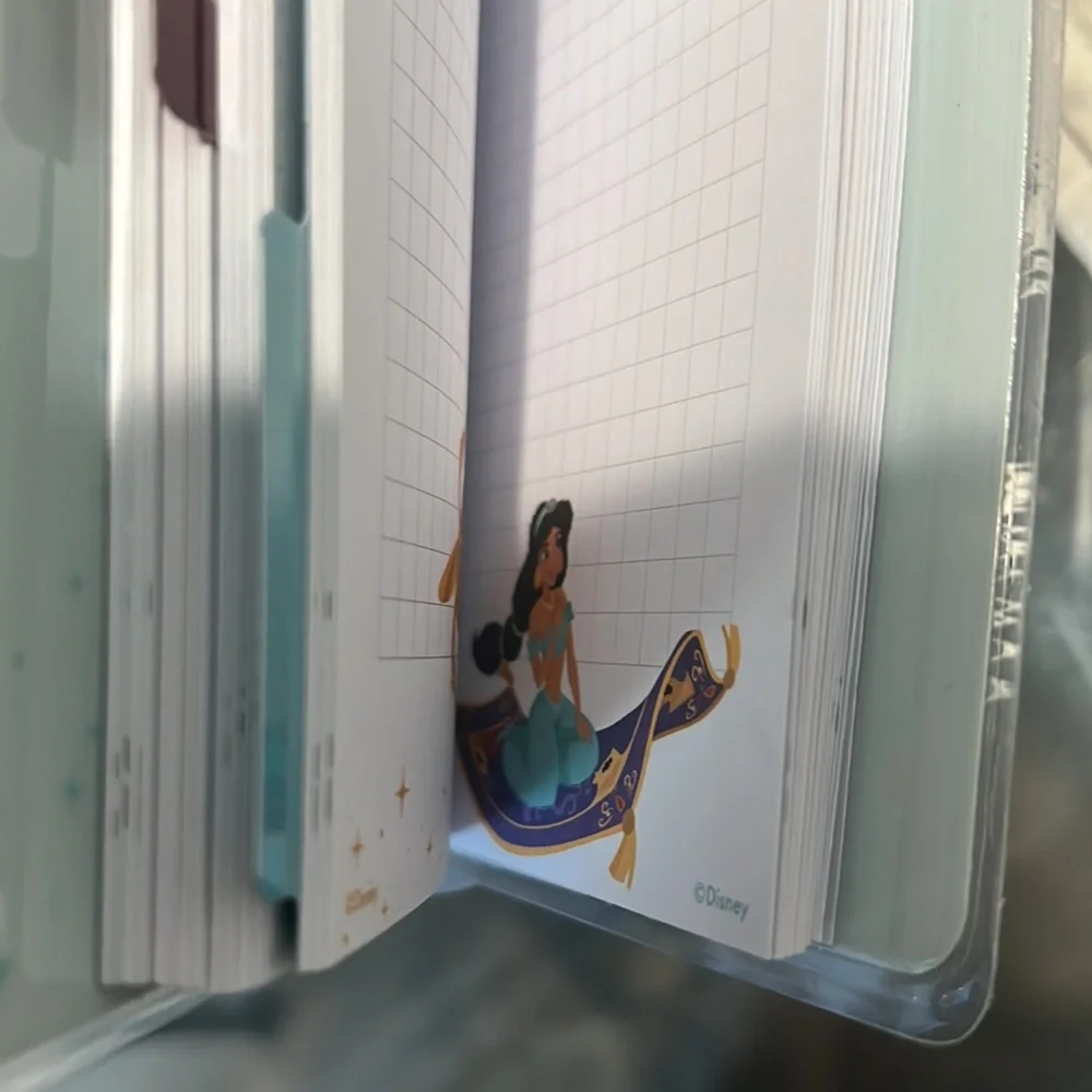 Disney Princess Trust In the Magic Journal.